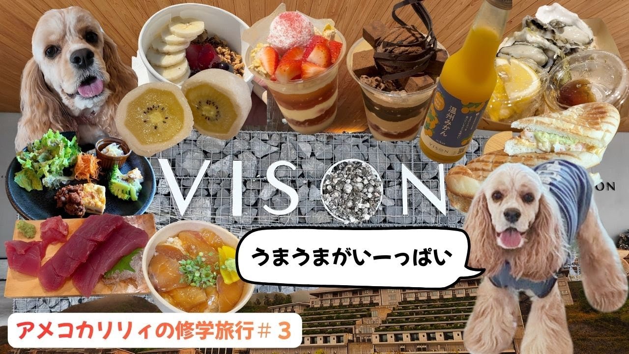 【三重県】リリィ家修学旅行＃３リリィさんVISONへゆく