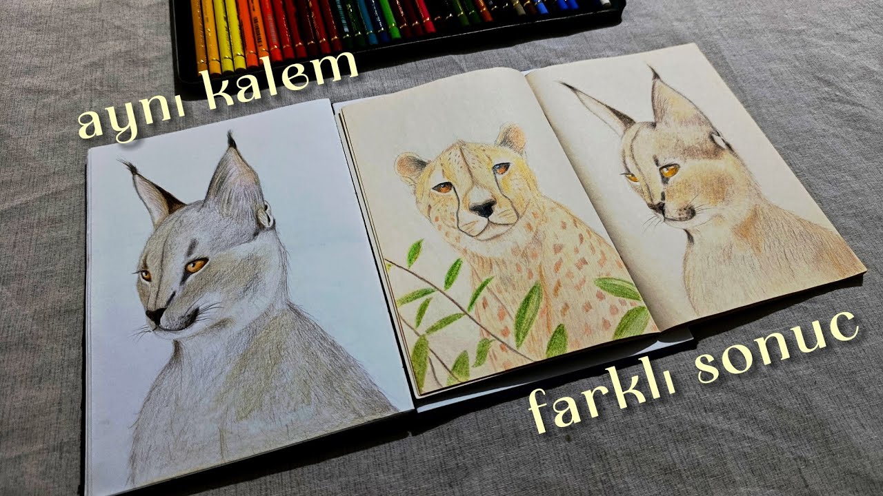 Kalem kaliteli ama kağıt sonucu değiştirdi | Polychromos kuru boya 