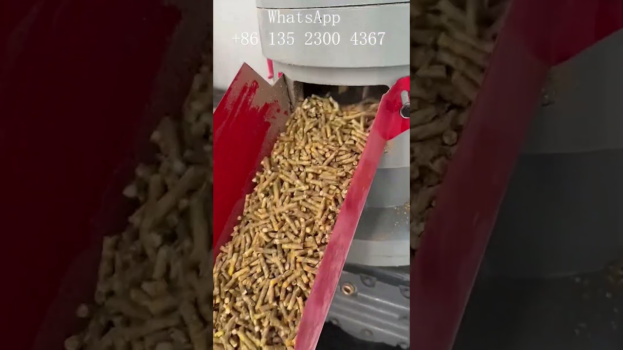 M&aacute;quina de pellets de alimento para animales, m&aacute;quina de alimento para animales