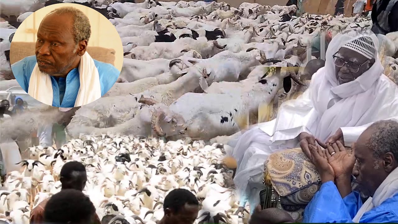 Tabaski 2023 : S. Sidy Nar Diénn a remis 270 Moutons et 32 Millions au Khalif générale des Mourides