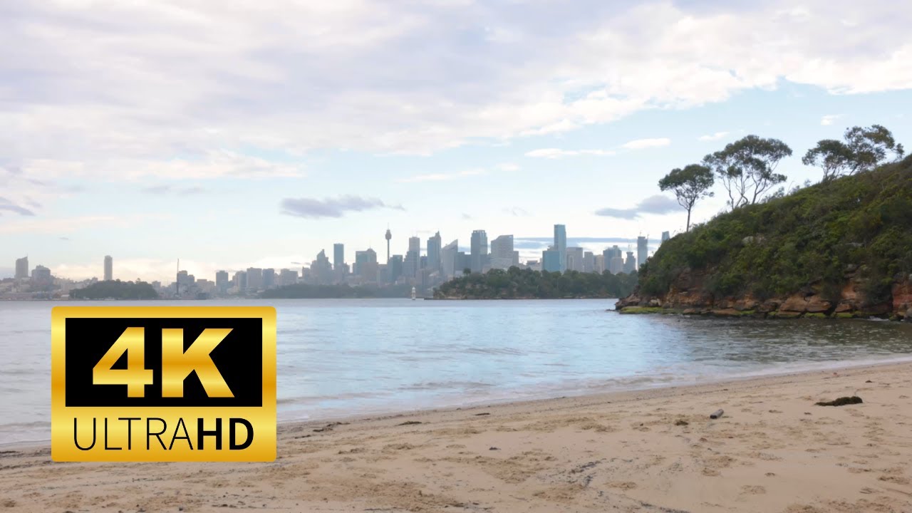 4K Dog Beach ASMR Ambience in Sydney, Australia - 1h of Dogs Playing - Relax / Sleep