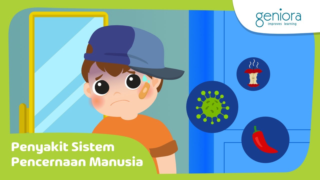 Sistem Pencernaan Manusia: Penyakit Pencernaan & Penyebabnya | IPA | SayaBisa