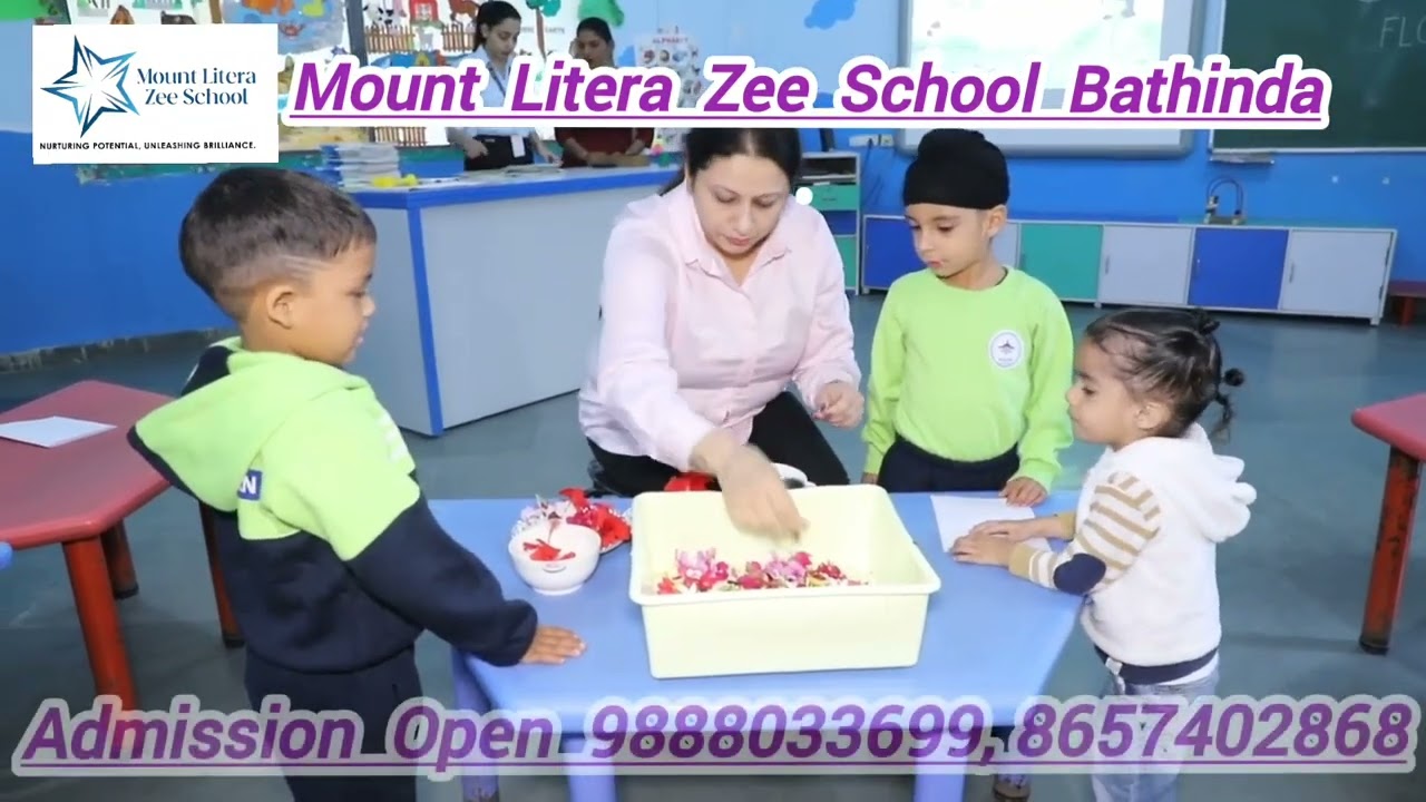  Mount Litera Zee School. We nurture young minds with quality education and holistic development.