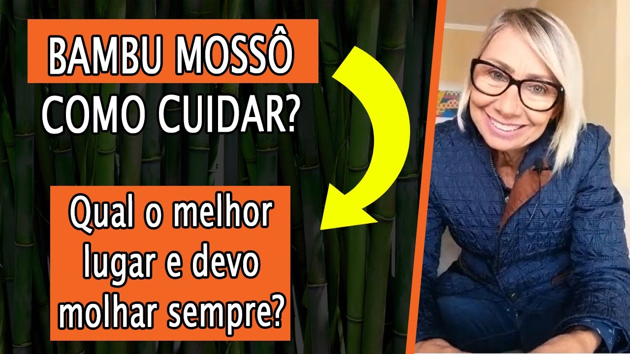 Bambu Mossô Como Cuidar? Deixando ele lindo!