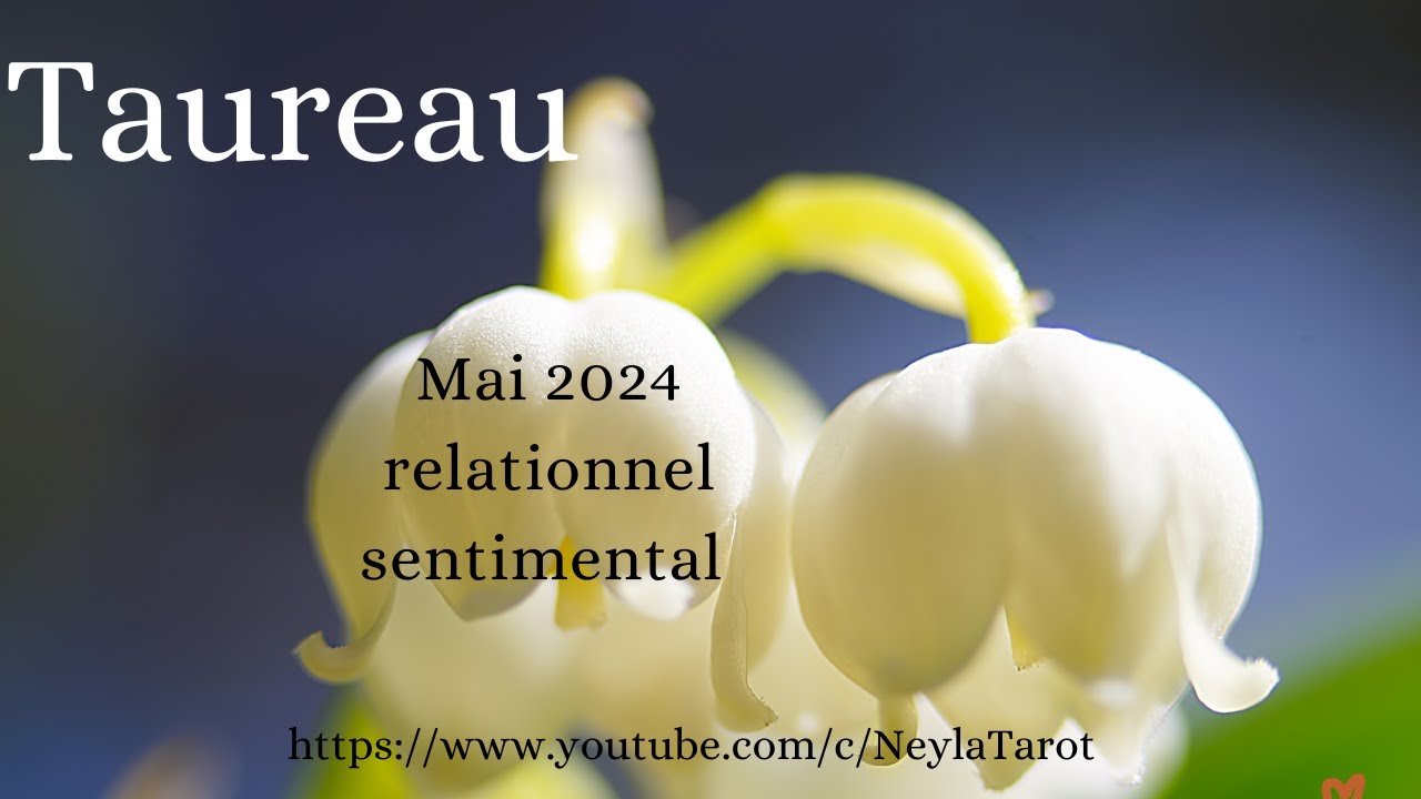 Taureaux – Mai 2024 –  amour fou - on avance intelligemment - sentimental /relationnel