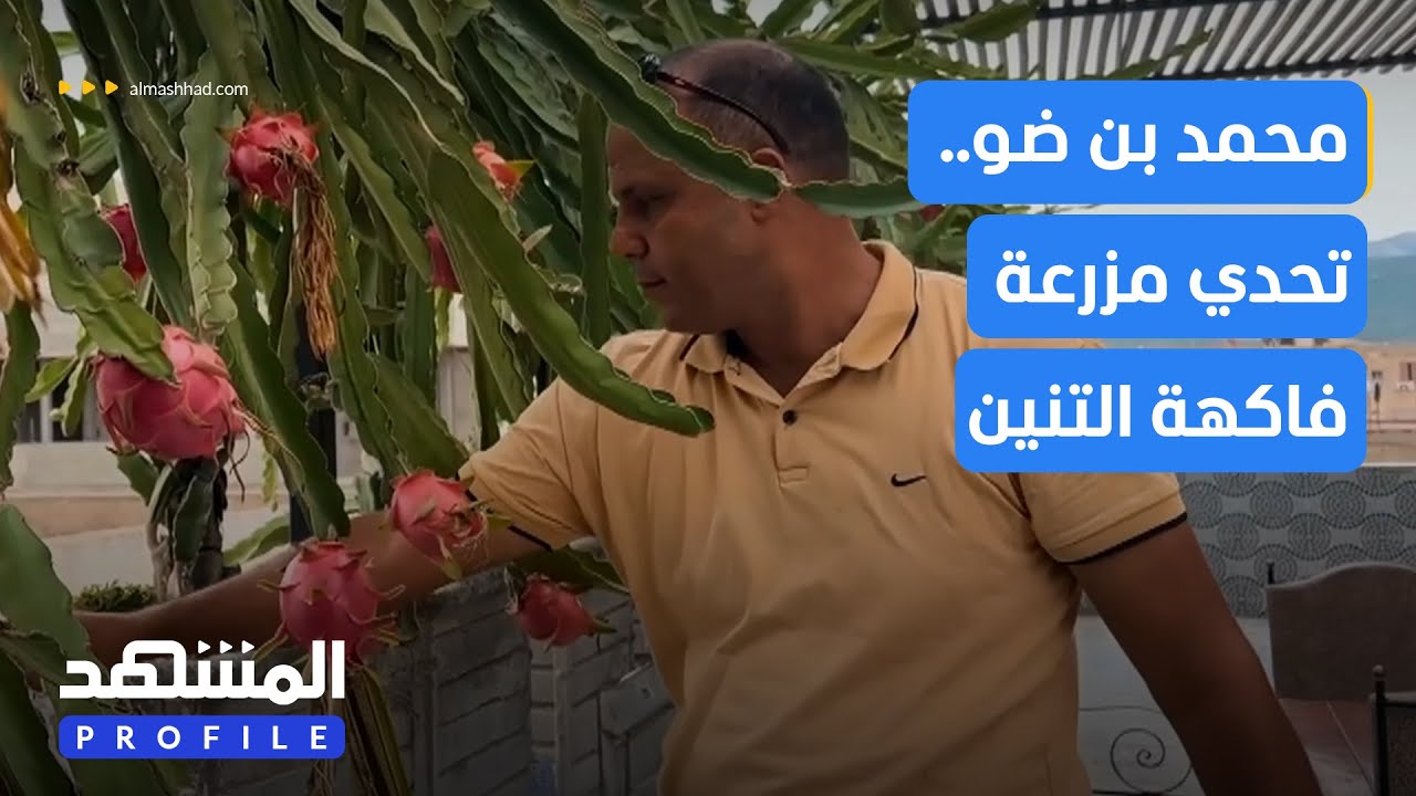 محمد بن ضو.. تحدي مزرعة فاكهة التنين - بروفايلز