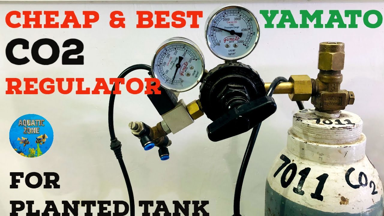 Best Co2 Regulator At Cheap Price For Planted Aquarium | All You Need To Know About Yamato Regulator