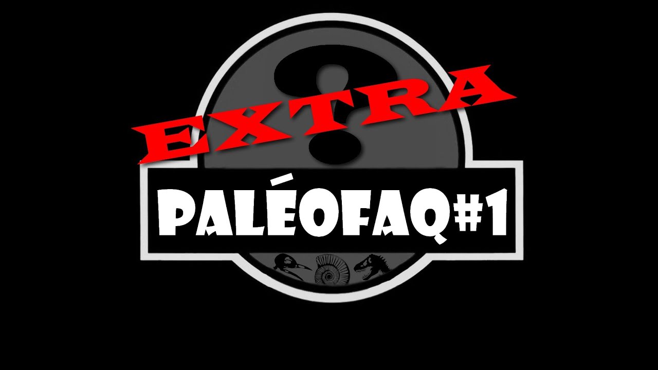 Extra PaléoFAQ #1 - Le métier de Paléontologue