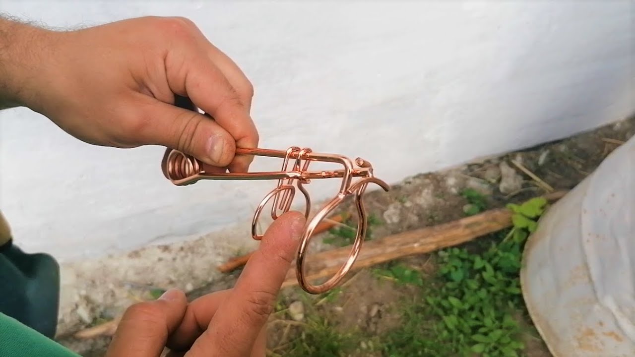 Capcana pentru cartita - Au distrus gradina de legume...