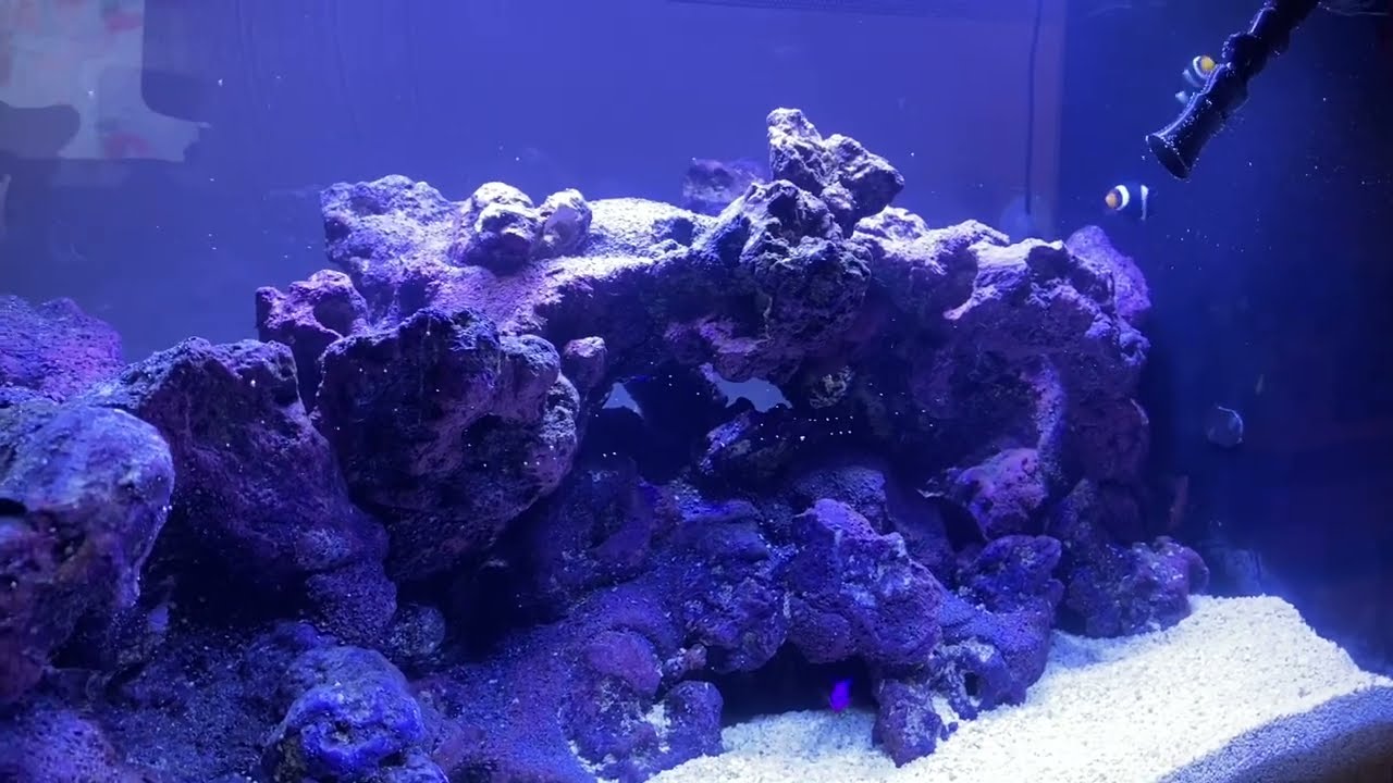 Fluval Evo 13.5 mods, upgrades