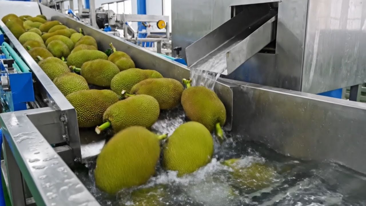 Inside a Modern Dried Jackfruit Factory: From Jackfruit to Perfect Crispy Snacks (The Whole Process)