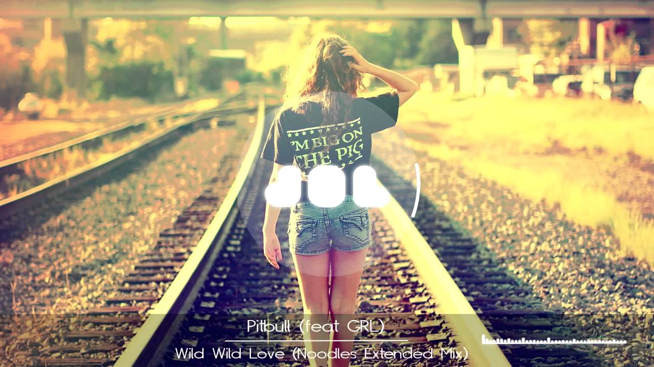 Pitbull (feat GRL) - Wild Wild Love (Noodles Extended Mix)