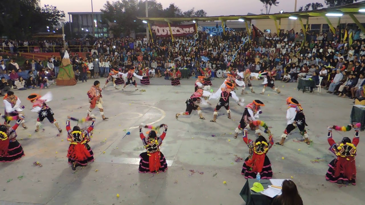 CARNAVAL DE UMAPATA | Primer puesto | Ingenieria Agricola