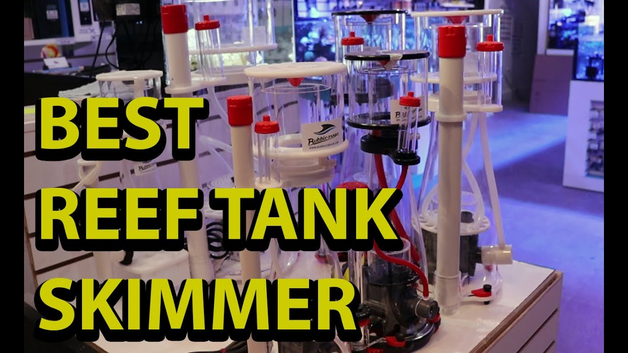 Best Reef Tank Protein Skimmer \\ Why Bubble Magus Skimmer Are Our Favorite Brand Of Skimmers