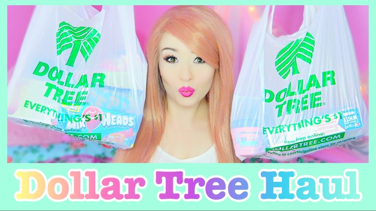 Dollar Tree Haul 2017