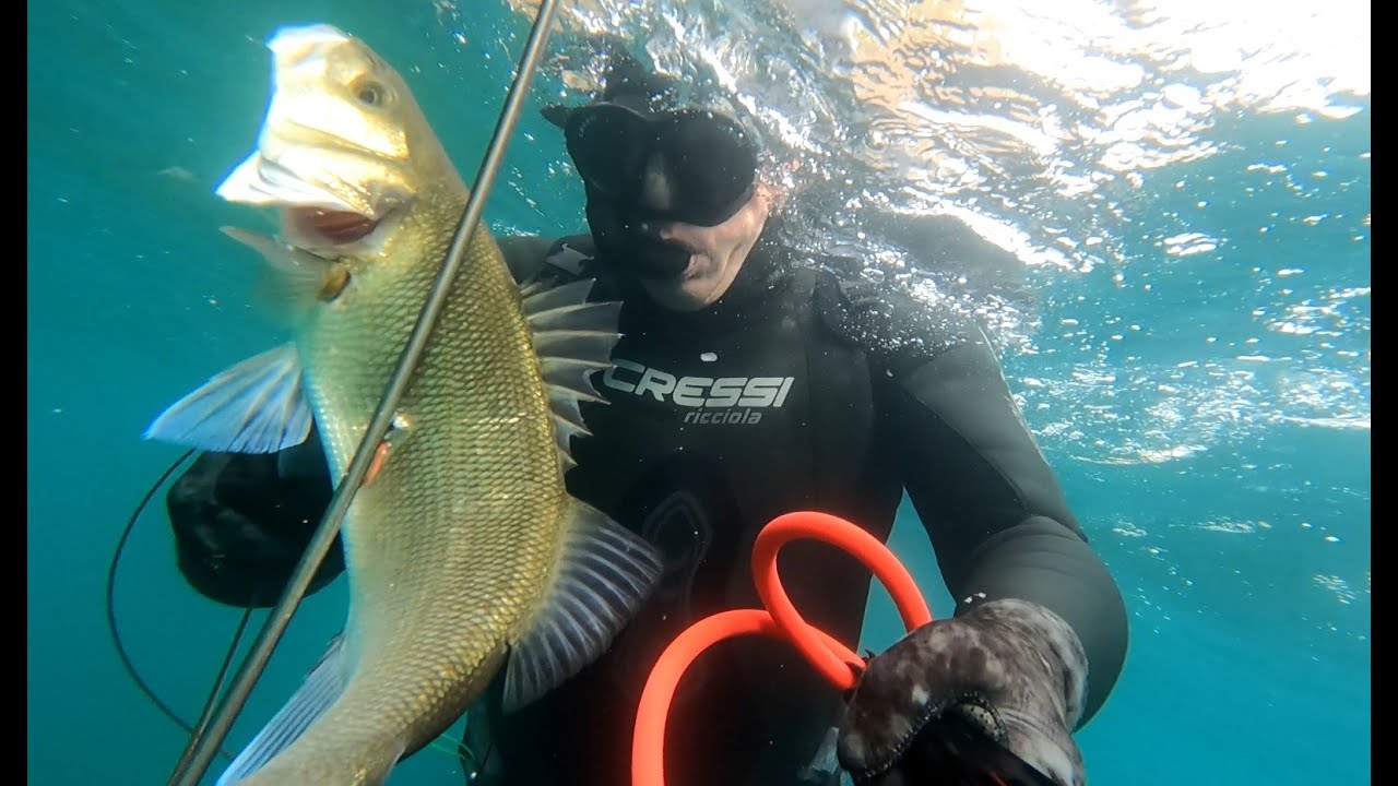 chasse sous marine 2025 (cressi team)