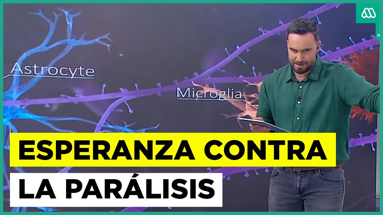 Increíble hallazgo en Brasil: Avance científico podría devolver movimiento a personas con parálisis