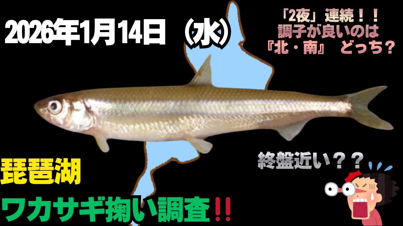 2026年1月14日（水）琵琶湖ワカサギ掬い調査！！『南側』＃琵琶湖ワカサギ掬い＃ワカサギ掬い＃琵琶湖＃ワカサギ