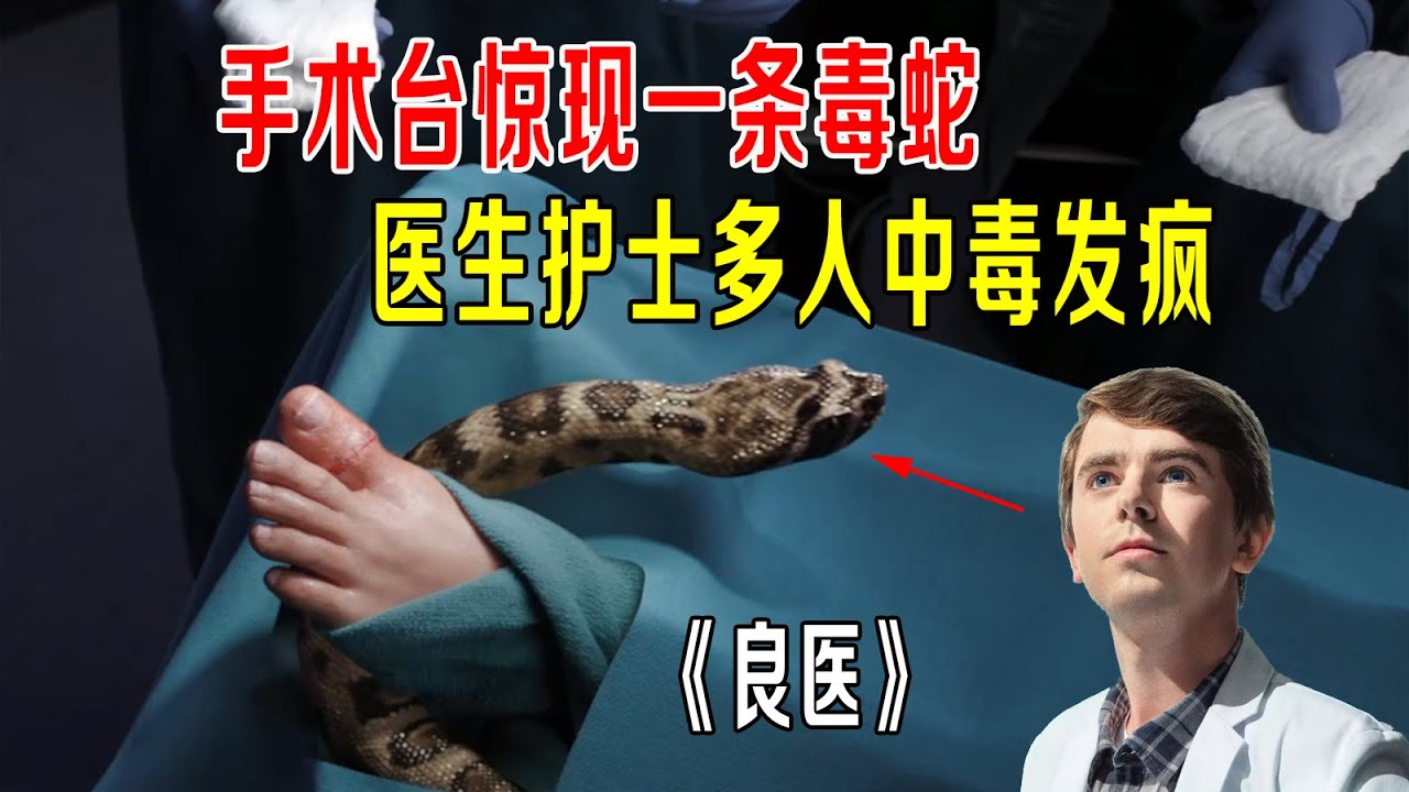 手术台惊现一条毒蛇，医生护士多人中毒发疯，天才肖恩放大招《良医》