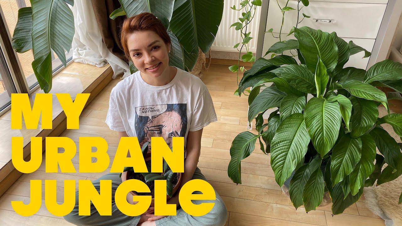Growing a JUNGLE in my Ukrainian apartment 🌴