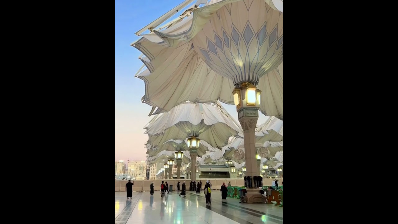 مامۆستاڕەوەندقەرەداغی