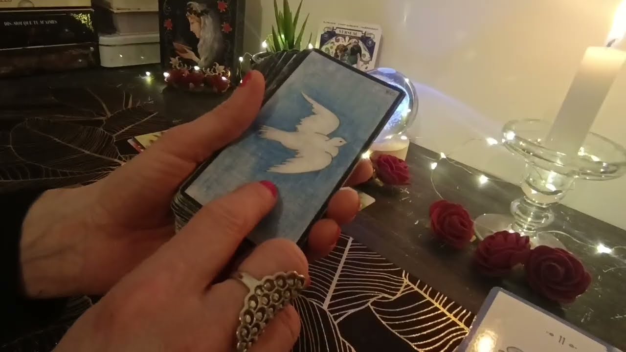 🔮Verseau♒Janvier 2026:💝Nouvelle rencontre/ une personne se révèle 🕊️🐺🦋../Projet & nouveau domicile..