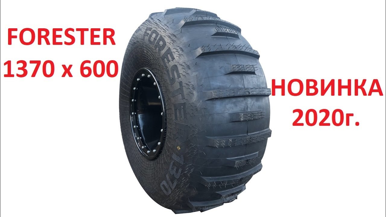Шина 