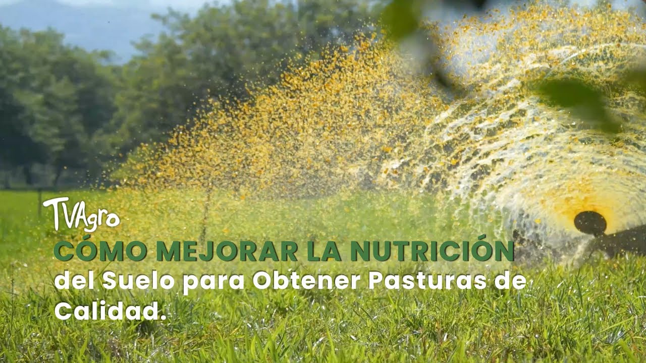 Cómo Mejorar la Nutrición del Suelo para Obtener Pasturas de Calidad - TvAgro por Juan Gonzalo Angel