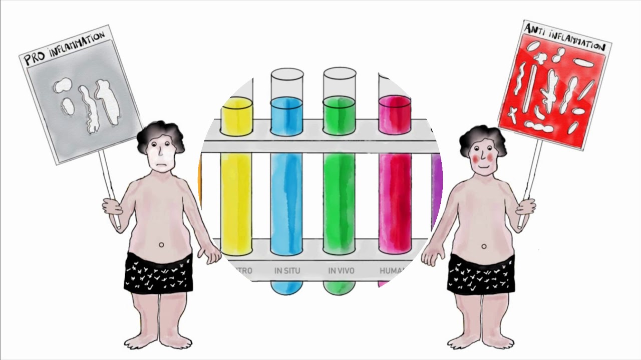 Pharmacology at Utrecht University