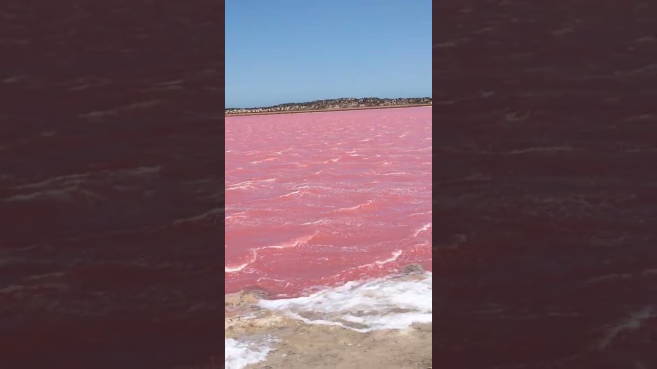 Pink Lake - Zachodnia Australia