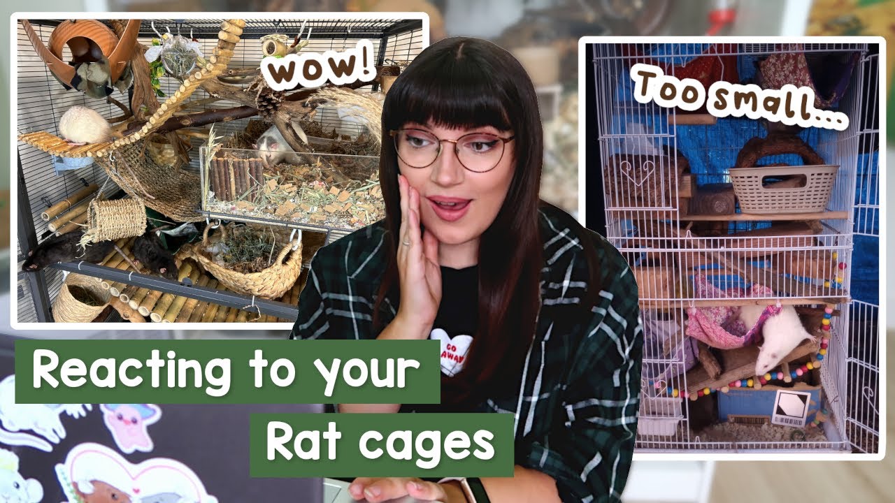 Reacting to your Rat cage setups | pt.5