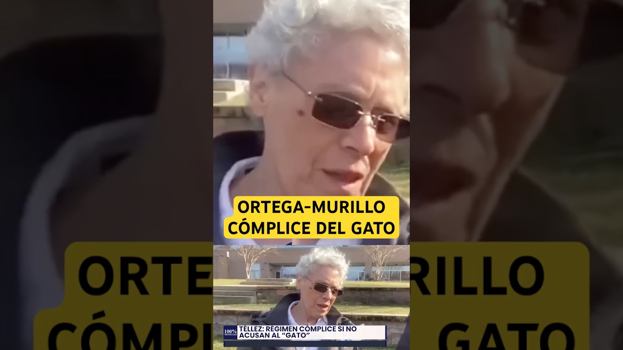 Téllez: régimen cómplice si no acusan al “Gato”.