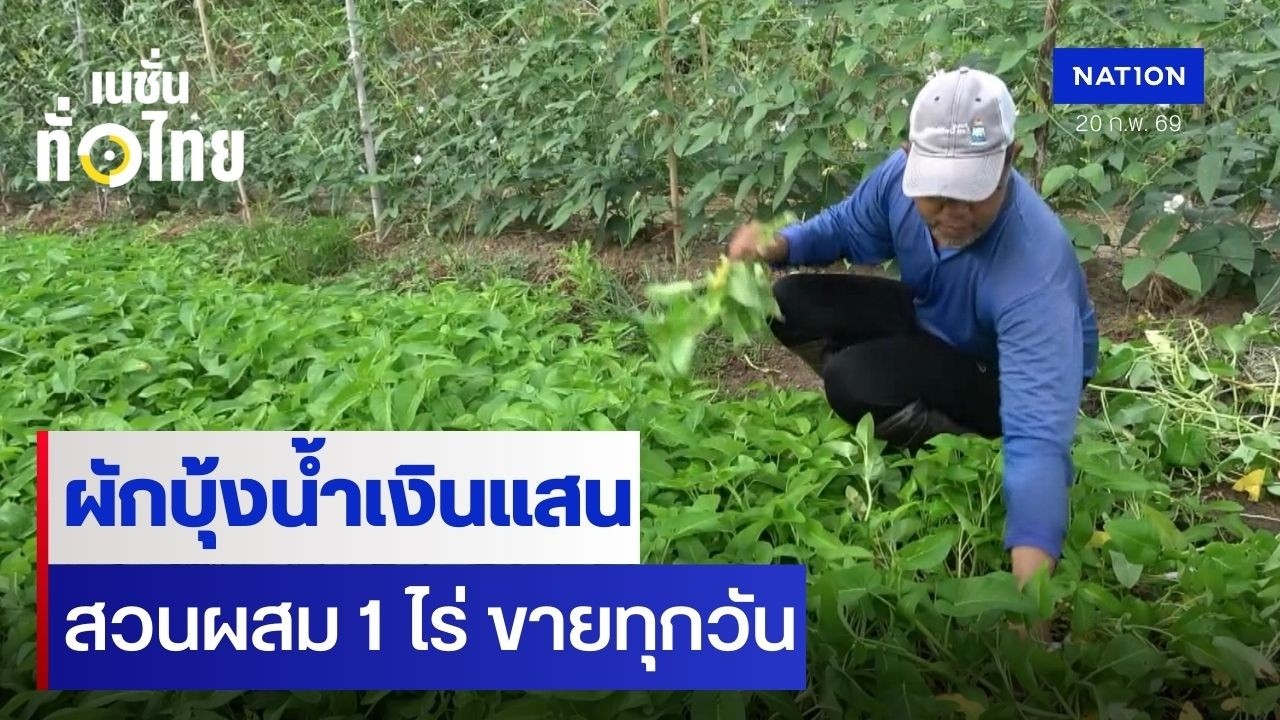 ผักบุ้งน้ำเงินแสน สวนผสม 1 ไร่ ขายทุกวัน I เนชั่นทั่วไทย