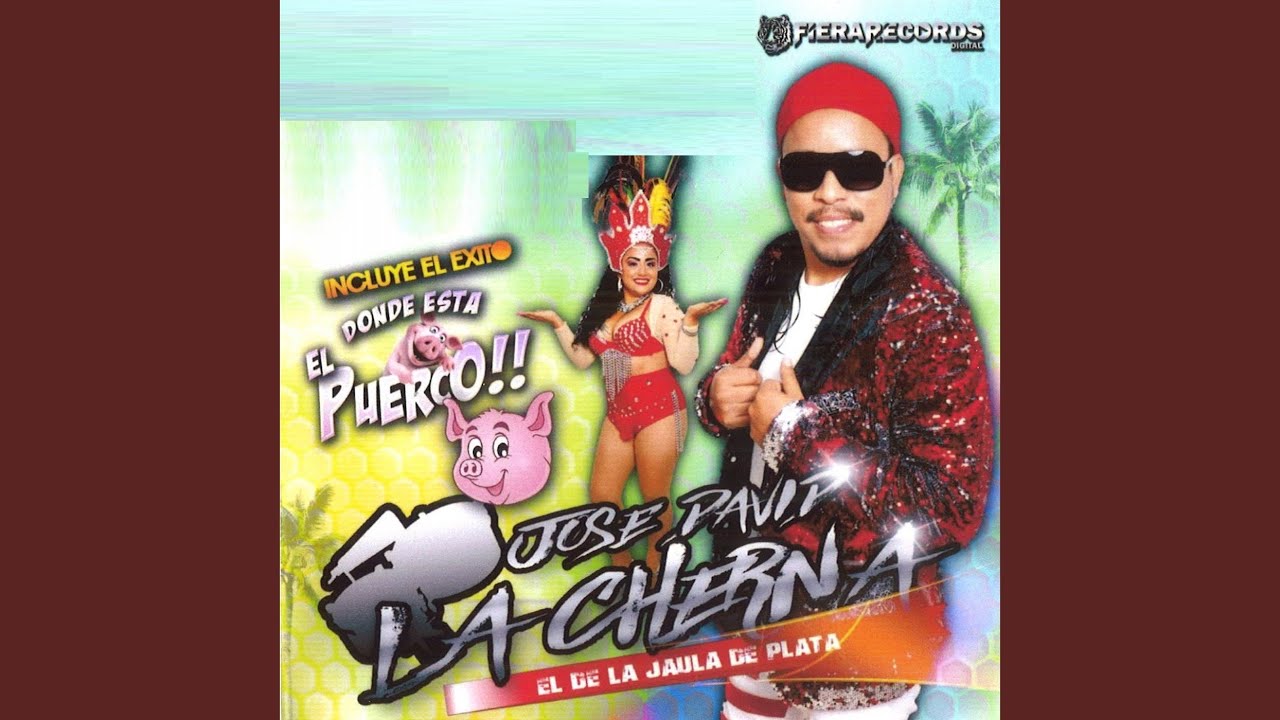 Donde Esta El Puerco