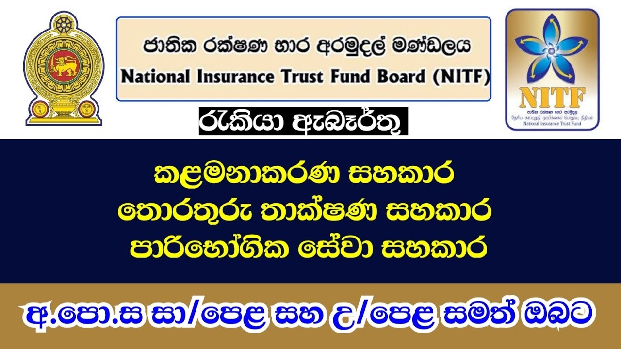 ජාතික රක්ෂණ භාර අරමුදල් මණ්ඩලයේ රැකියා අවස්ථා රැසක් 📢 | NITF job vacancies 2025 | Job Plus LK