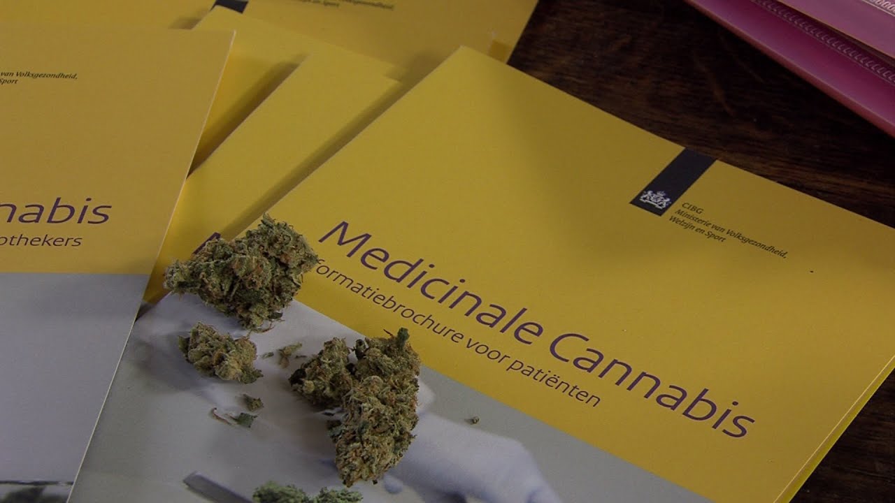 Dutch system is failing its patients - Medicinal Cannabis as a Human Right | Part 3/4