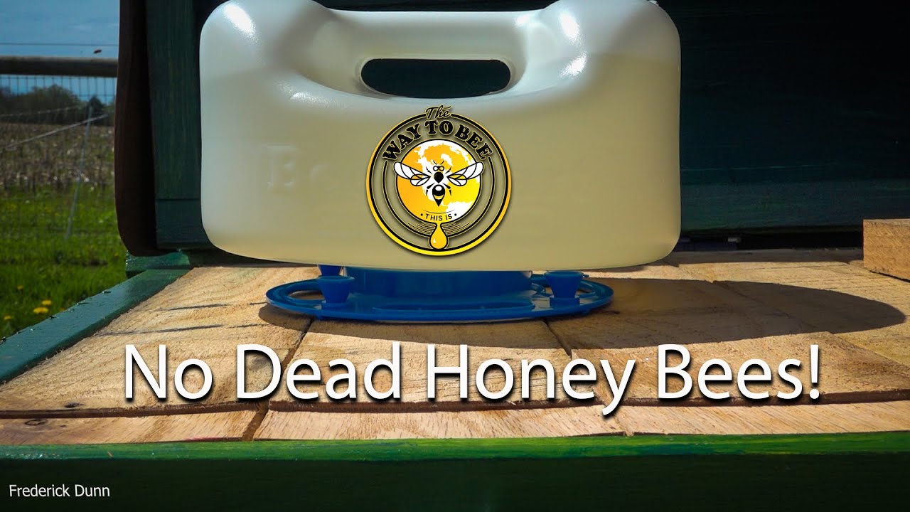BeeSmart Designs Ultimate Universal 3-Season Feeder Review and Demonstration NO DEAD HONEY BEES