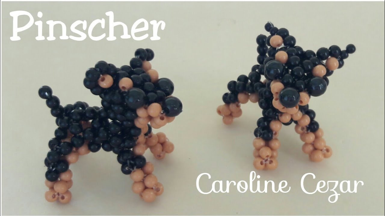 Pinscher parte 2/2 (Beaded Pinscher Dog)