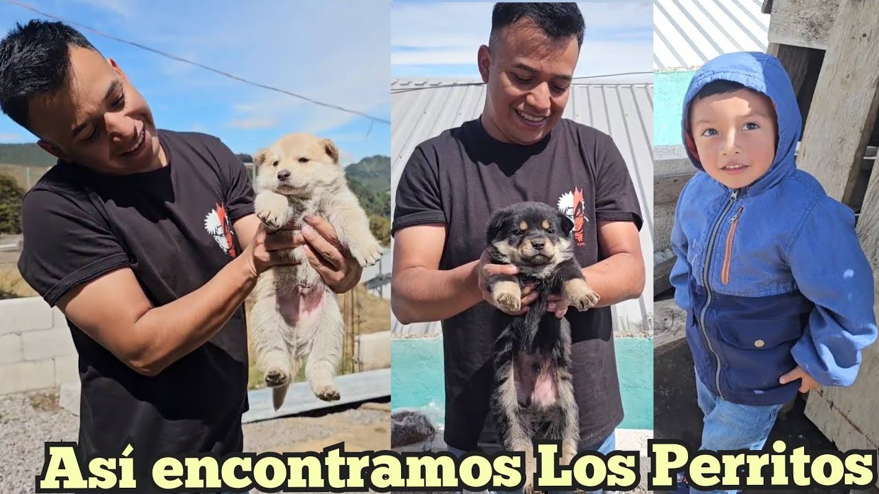 Regresamos A Nuestra Casa😱Así Encontramos A Nuestros Perritos Esta Fue Nuestra Reaccion 😍