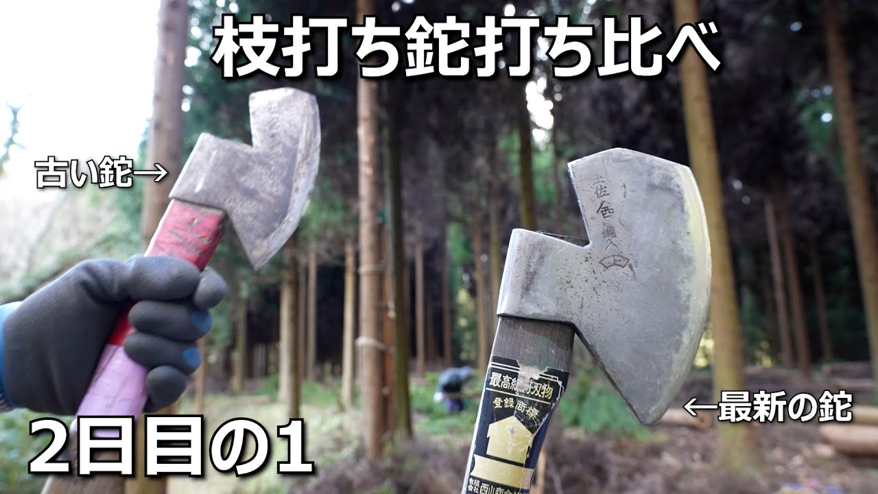 枝打ち 2日目の1【2024年12月24日】