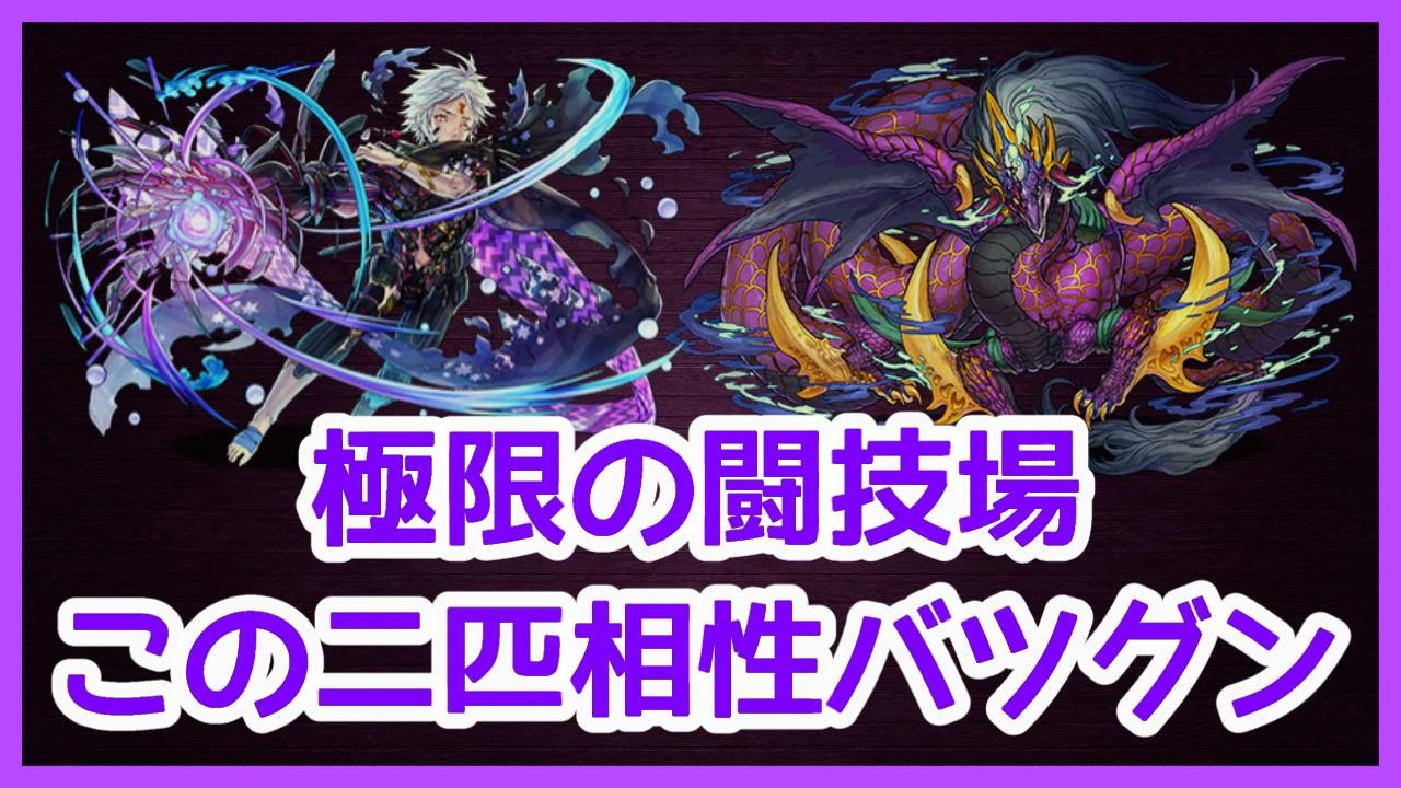 【パズドラ】極限の闘技場　カストル入ツクヨミドラゴンで安定周回！