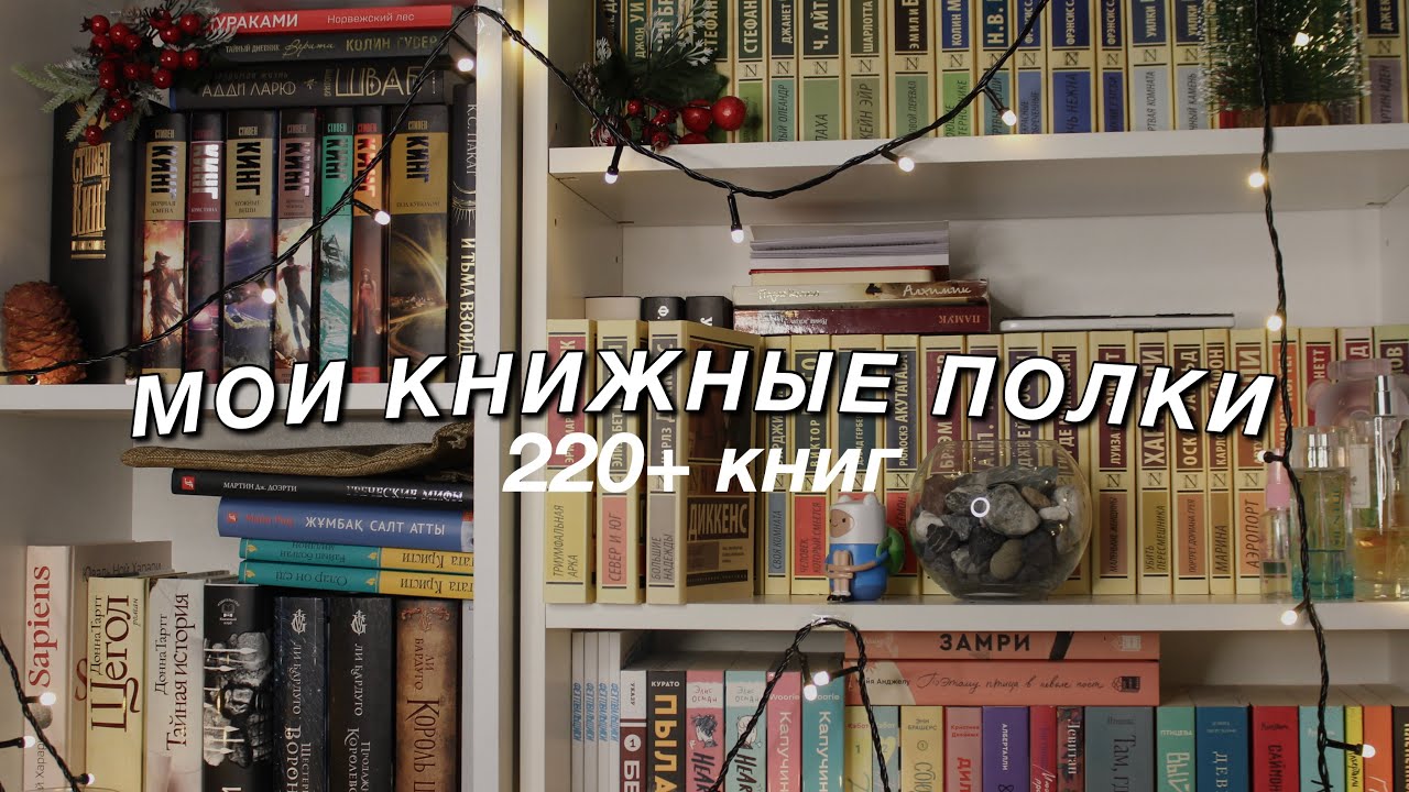 ВСЕ МОИ КНИЖНЫЕ ПОЛКИ || 220+ КНИГ || 2 часовой обзор всех книг