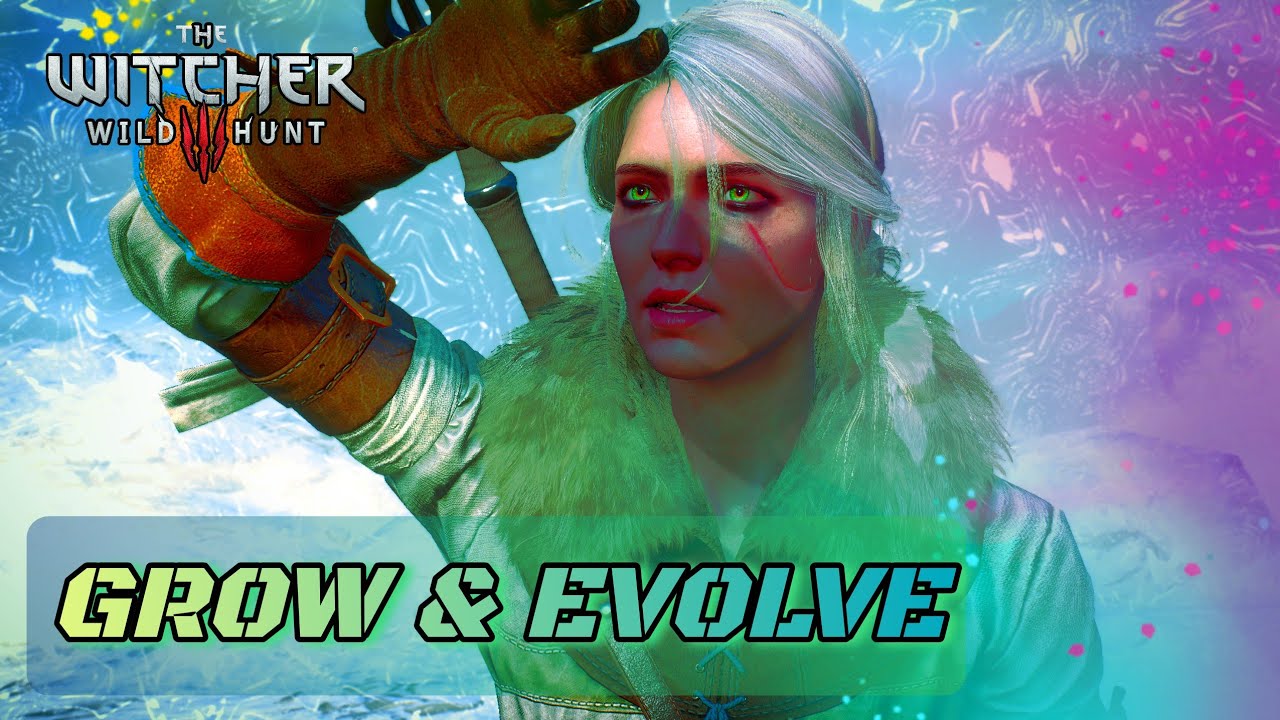 Why GROWTH Is Important? And Why We Need To Evolve! - The Witcher 3 Commentary | CHANGE