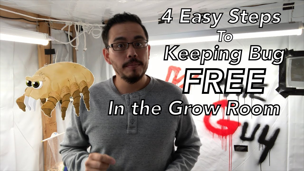 4 BEST Simples Steps to Keep Indoor Grow Room Bug Free