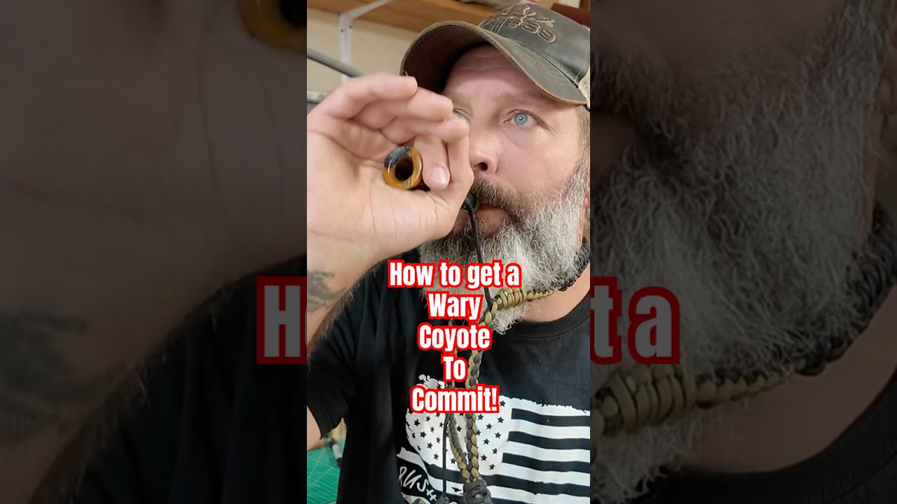 Insane Coyote Calling Secret Revealed