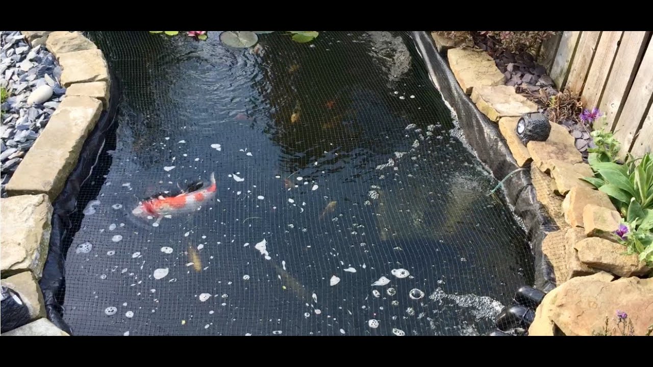 How to Install a Pond Float switch