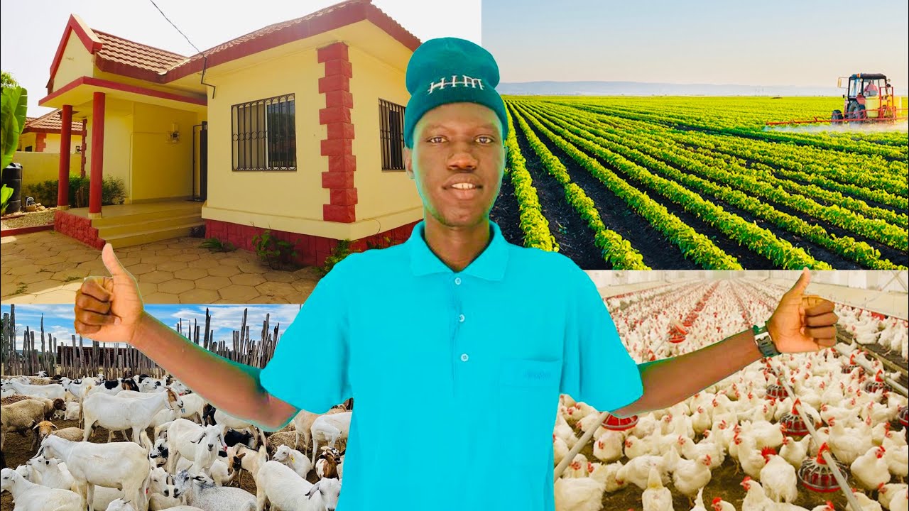 4 Profitable Business Ideas in Africa (Gambia) Employ And Earn Income To Support Yourself