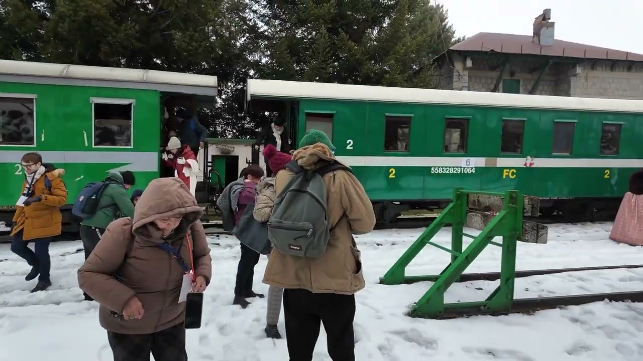 Viaggio lento nel cuore della Sila, il Treno storico a vapore incanta tra neve, tradizioni e turismo