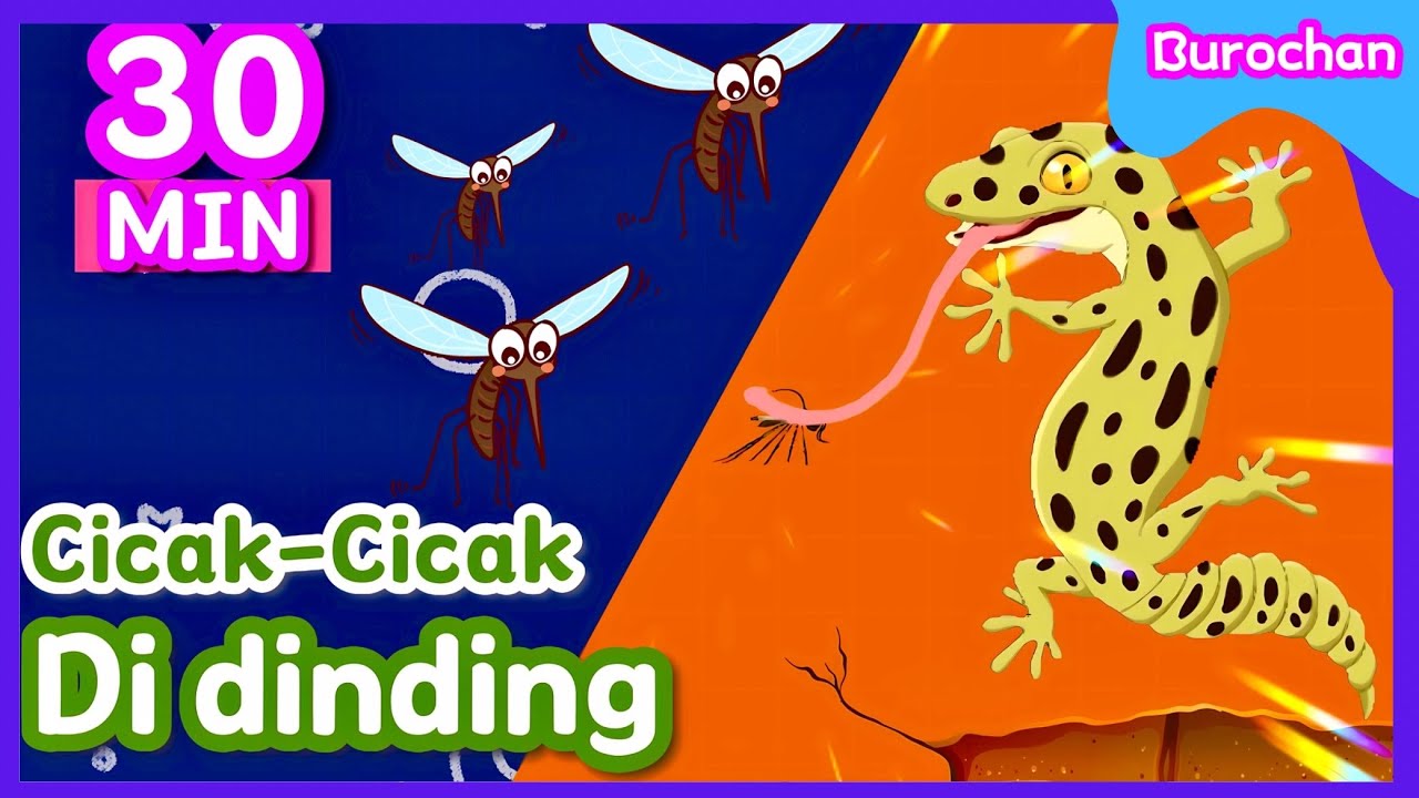Lagu Cicak-Cicak di Dinding 30 Menit [Lirik]
