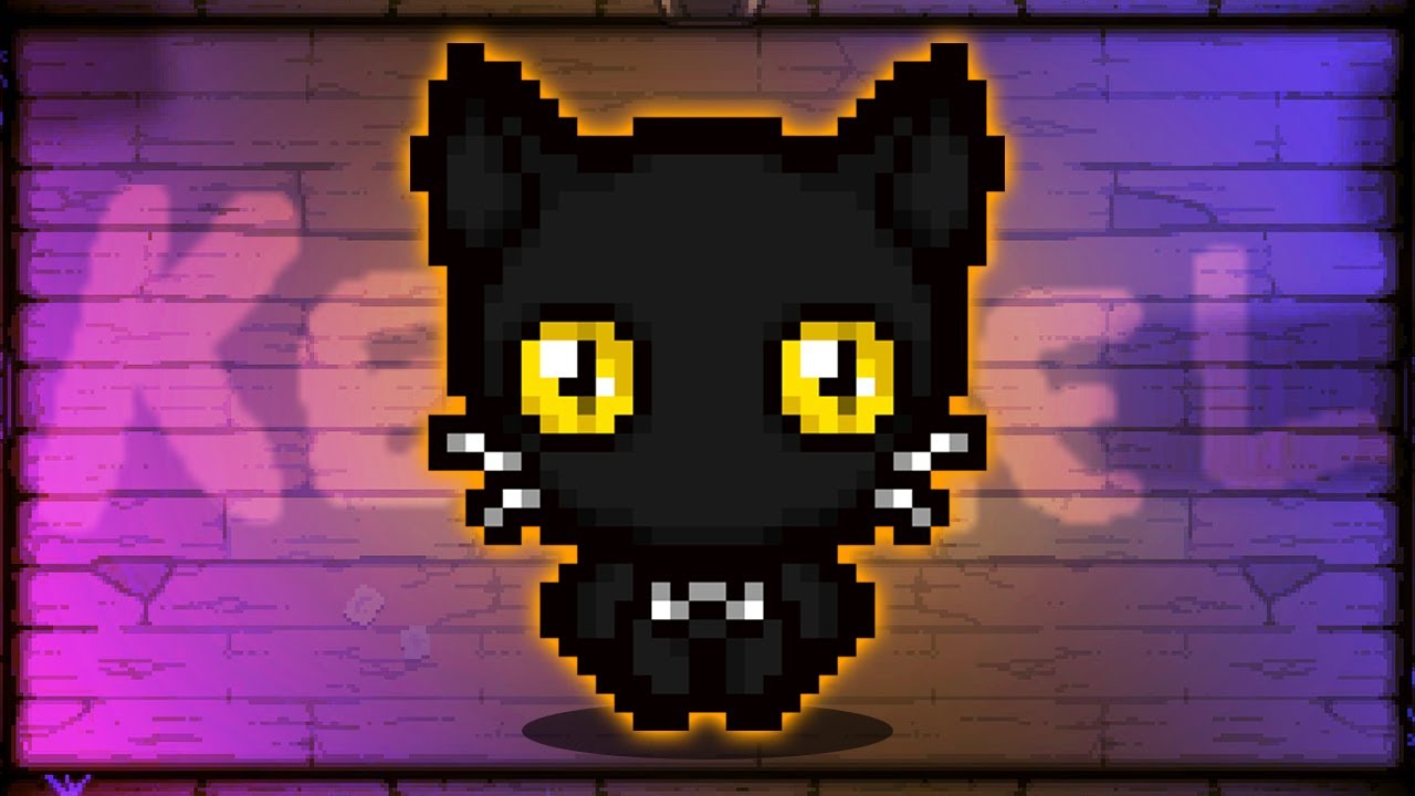There's a NEW cat in town...